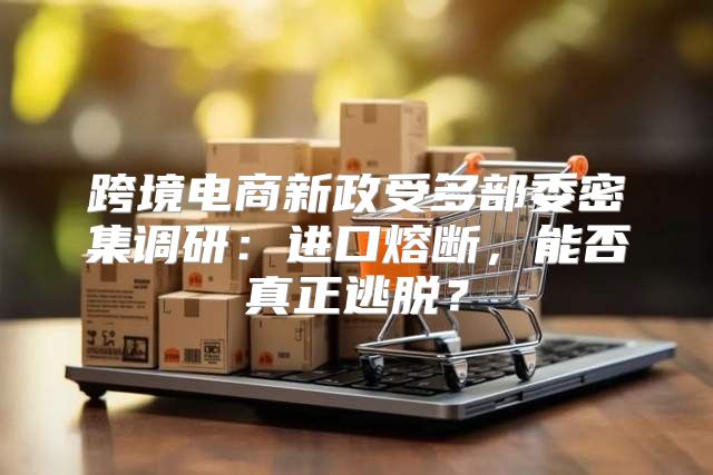 跨境电商新政受多部委密集调研：进口熔断，能否真正逃脱？