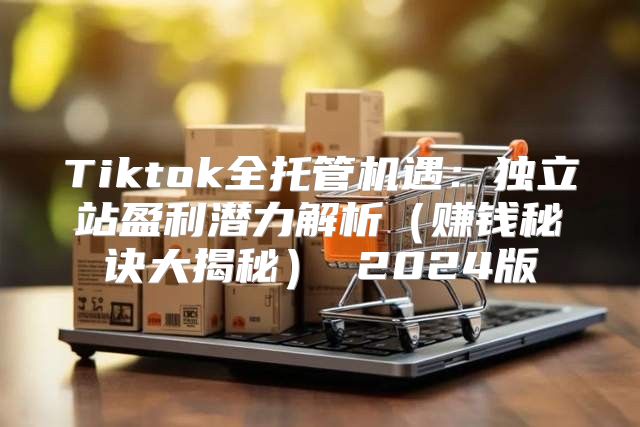 Tiktok全托管机遇：独立站盈利潜力解析赚钱秘诀大揭秘 2025版