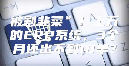 被割韭菜”！上万的ERP系统，3个月还出不到10单？