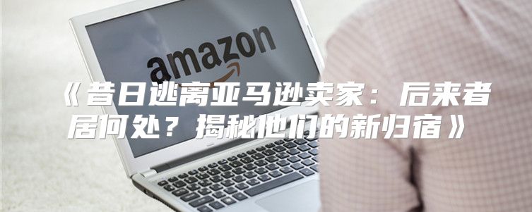 昔日逃离亚马逊卖家：后来者居何处？揭秘他们的新归宿