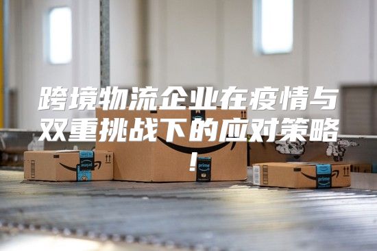 跨境物流企业在疫情与双重挑战下的应对策略！