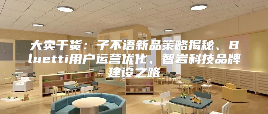 大卖干货：子不语新品策略揭秘、Bluetti用户运营优化、智岩科技品牌建设之路