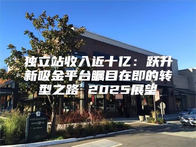 独立站收入近十亿：跃升新吸金平台瞩目在即的转型之路 2025展望