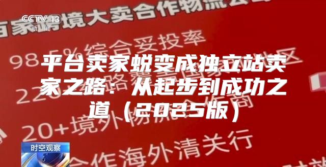 平台卖家蜕变成独立站卖家之路：从起步到成功之道2025版