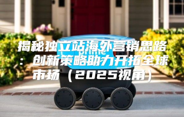揭秘独立站海外营销思路：创新策略助力开拓全球市场2025视角