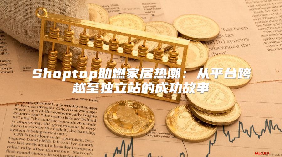 Shoptop助燃家居热潮：从平台跨越至独立站的成功故事