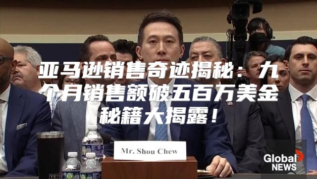亚马逊销售奇迹揭秘：九个月销售额破五百万美金秘籍大揭露！