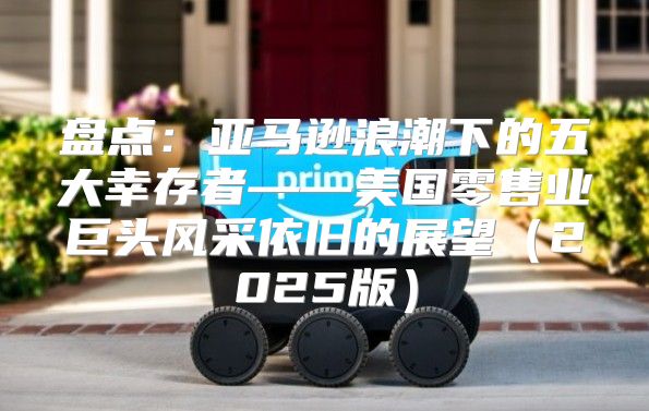 盘点：亚马逊浪潮下的五大幸存者——美国零售业巨头风采依旧的展望2025版