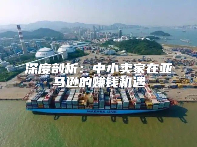 深度剖析：中小卖家在亚马逊的赚钱机遇