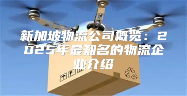 新加坡物流公司概览：2025年最知名的物流企业介绍