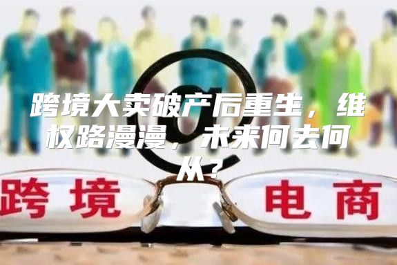 跨境大卖破产后重生，维权路漫漫，未来何去何从？