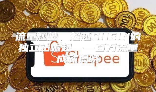 流量翘楚，超越SHEIN的独立站崛起——百万流量成就揭晓