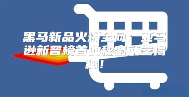 黑马新品火爆全网：亚马逊新晋榜首的秘密武器揭秘！