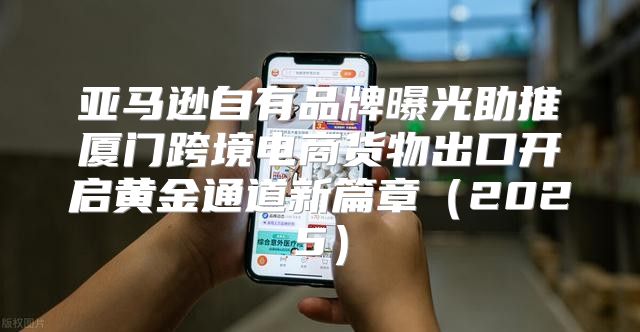 亚马逊自有品牌曝光助推厦门跨境电商货物出口开启黄金通道新篇章2025