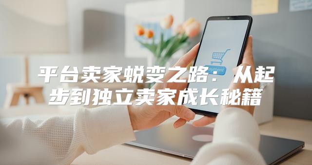 平台卖家蜕变之路：从起步到独立卖家成长秘籍