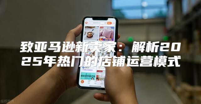 致亚马逊新卖家：解析2025年热门的店铺运营模式