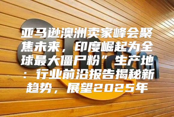 亚马逊澳洲卖家峰会聚焦未来，印度崛起为全球最大僵尸粉”生产地：行业前沿报告揭秘新趋势，展望2025年