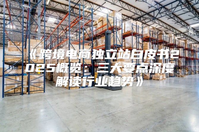 跨境电商独立站白皮书2025概览：三大要点深度解读行业趋势