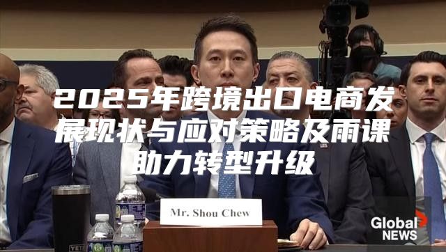 2025年跨境出口电商发展现状与应对策略及雨课助力转型升级