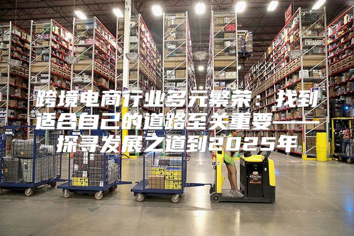 跨境电商行业多元繁荣：找到适合自己的道路至关重要——探寻发展之道到2025年