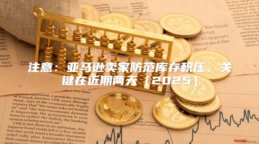 注意：亚马逊卖家防范库存积压，关键在近期两天2025