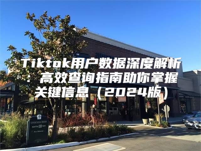 Tiktok用户数据深度解析：高效查询指南助你掌握关键信息2025版