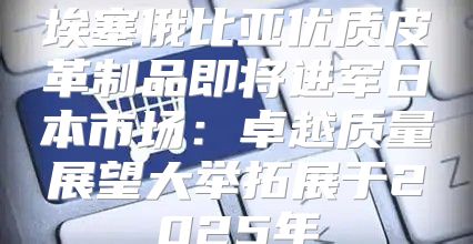 埃塞俄比亚优质皮革制品即将进军日本市场：卓越质量展望大举拓展于2025年