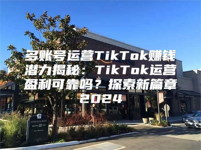 多账号运营TikTok赚钱潜力揭秘：TikTok运营盈利可靠吗？探索新篇章2025