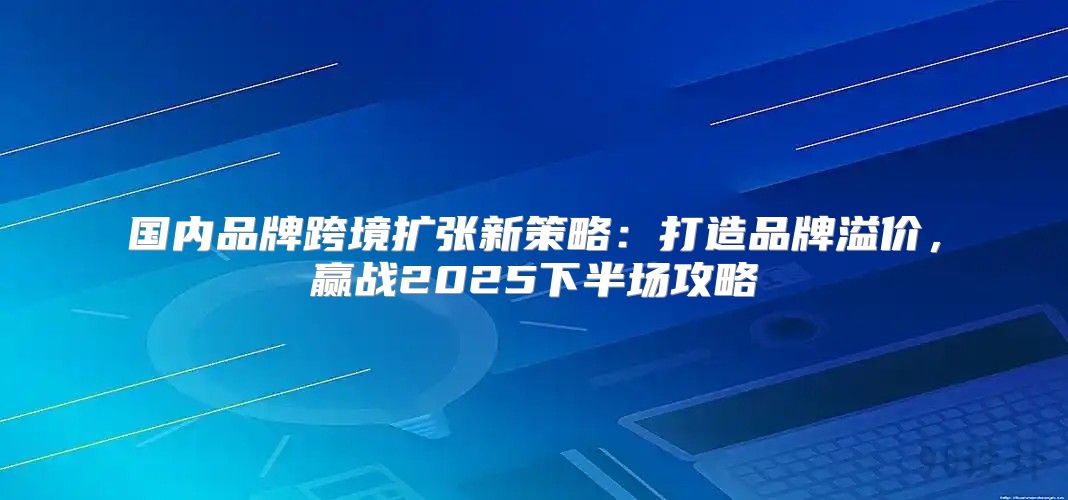 国内品牌跨境扩张新策略：打造品牌溢价，赢战2025下半场攻略
