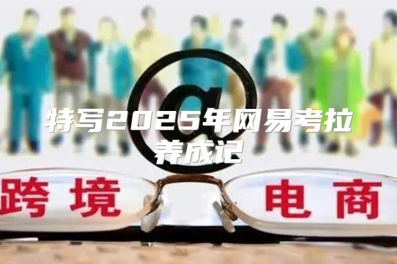 特写2025年网易考拉养成记