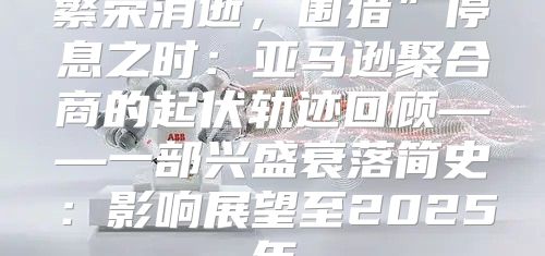 繁荣消逝，围猎”停息之时：亚马逊聚合商的起伏轨迹回顾——一部兴盛衰落简史：影响展望至2025年