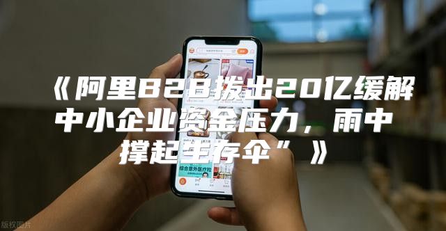 阿里B2B拨出20亿缓解中小企业资金压力，雨中撑起生存伞”