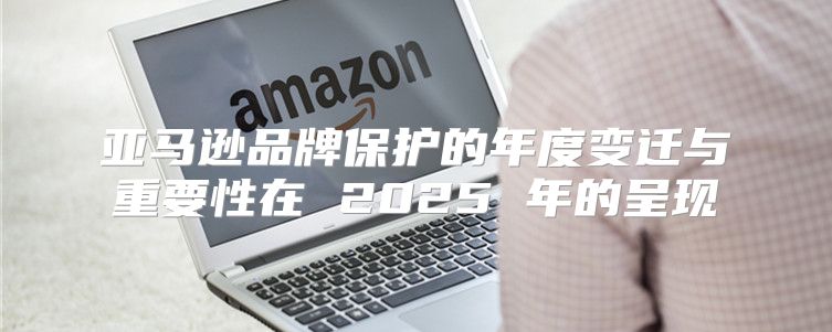 亚马逊品牌保护的年度变迁与重要性在 2025 年的呈现