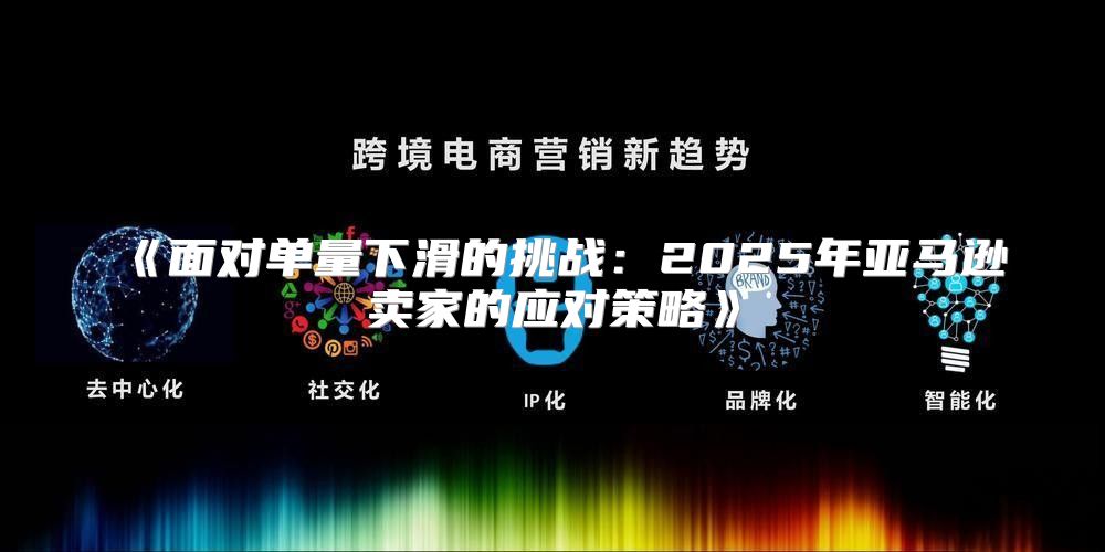 面对单量下滑的挑战：2025年亚马逊卖家的应对策略