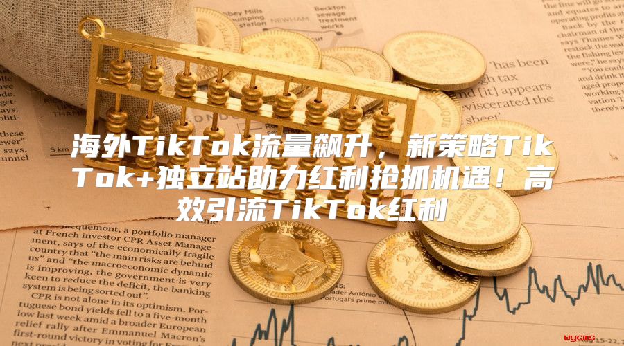海外TikTok流量飙升，新策略TikTok+独立站助力红利抢抓机遇！高效引流TikTok红利