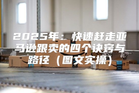 2025年：快速赶走亚马逊跟卖的四个诀窍与路径图文实操