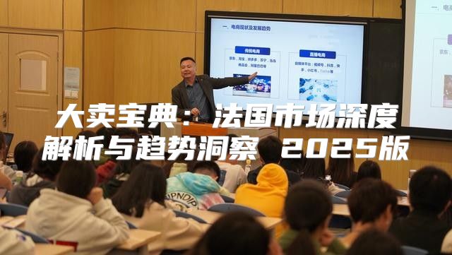 大卖宝典：法国市场深度解析与趋势洞察 2025版