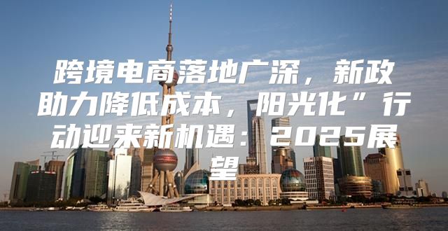 跨境电商落地广深，新政助力降低成本，阳光化”行动迎来新机遇：2025展望