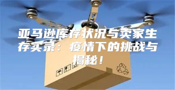 亚马逊库存状况与卖家生存实录：疫情下的挑战与揭秘！