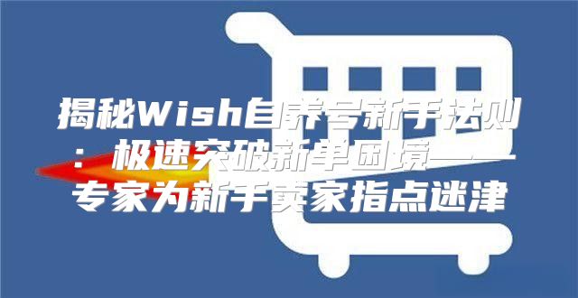 揭秘Wish自养号新手法则：极速突破新单困境——专家为新手卖家指点迷津