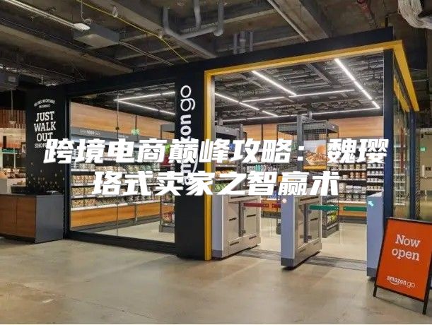 跨境电商巅峰攻略：魏璎珞式卖家之智赢术