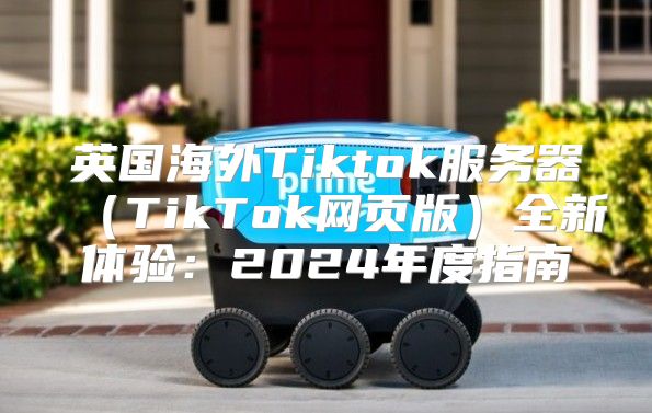 英国海外Tiktok服务器TikTok网页版全新体验：2025年度指南