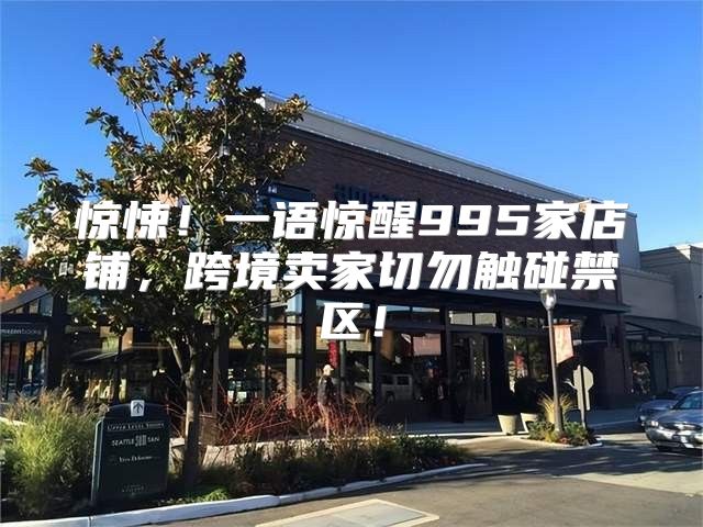 惊悚！一语惊醒995家店铺，跨境卖家切勿触碰禁区！
