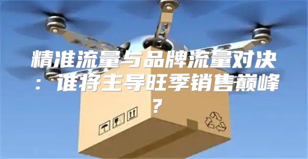精准流量与品牌流量对决：谁将主导旺季销售巅峰？