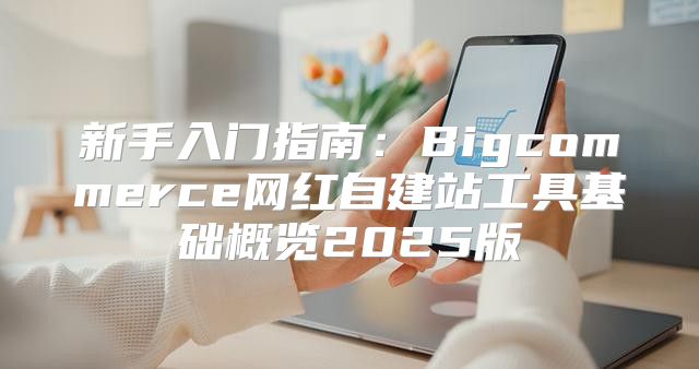 新手入门指南：Bigcommerce网红自建站工具基础概览2025版