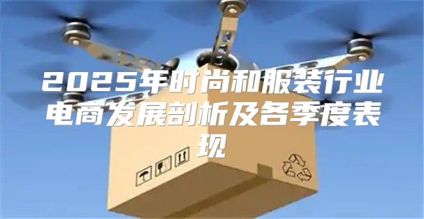 2025年时尚和服装行业电商发展剖析及各季度表现