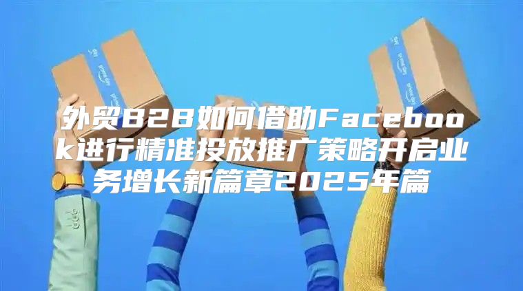 外贸B2B如何借助Facebook进行精准投放推广策略开启业务增长新篇章2025年篇