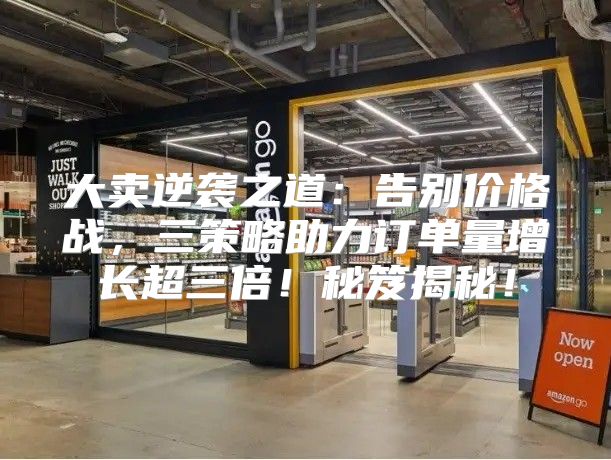 大卖逆袭之道：告别价格战，三策略助力订单量增长超三倍！秘笈揭秘！