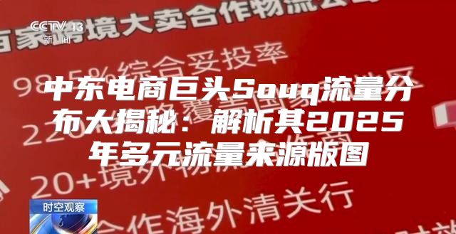 中东电商巨头Souq流量分布大揭秘：解析其2025年多元流量来源版图