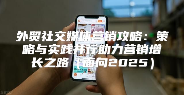 外贸社交媒体营销攻略：策略与实践并行助力营销增长之路面向2025